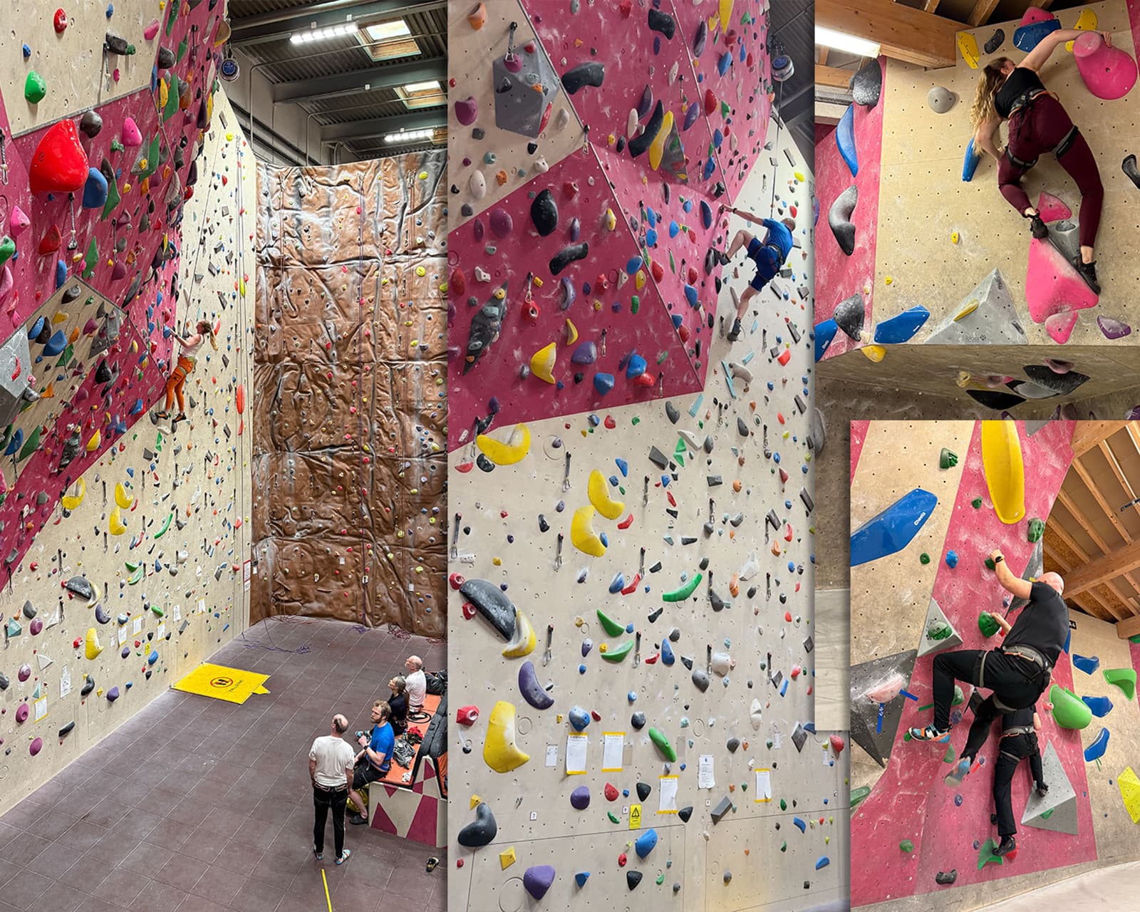 Colleagues bouldering together at an indoor climbing gym.